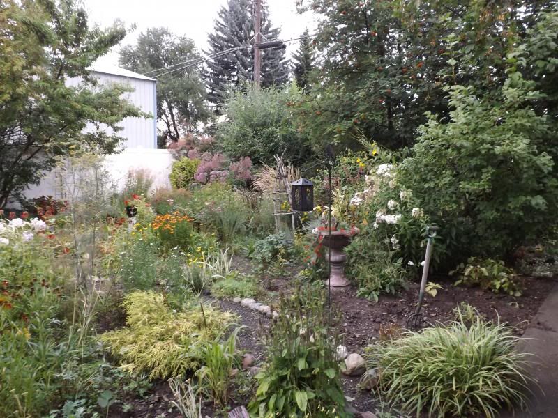  photo 9713011_zps6515fd43.jpg